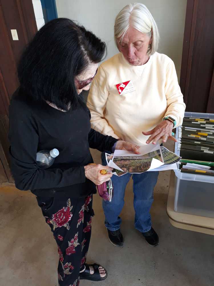 Extension Master Gardener LeAnn Glessner